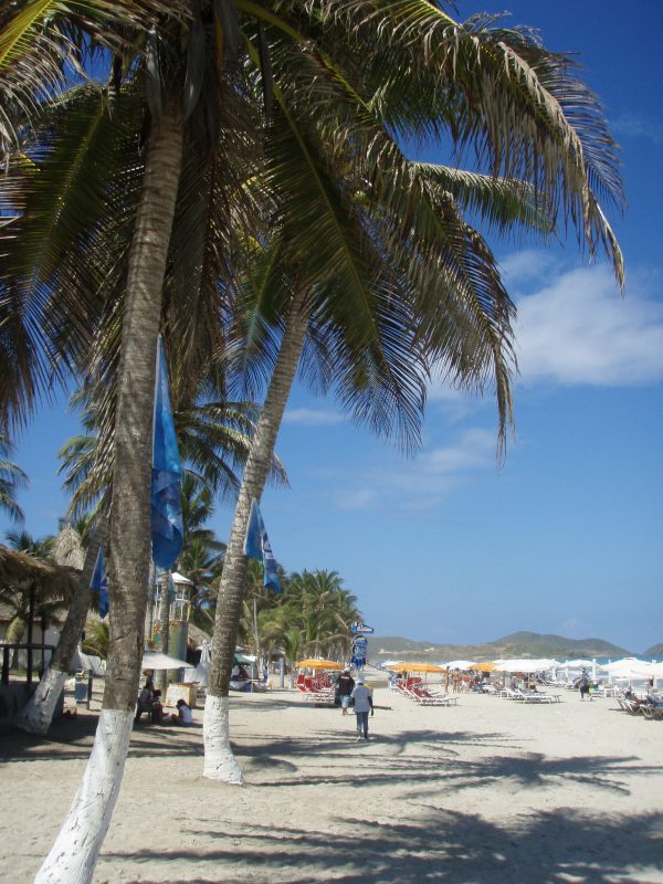 Margarita Island & Isla Coche (Caribbean) AngelEco Tours
