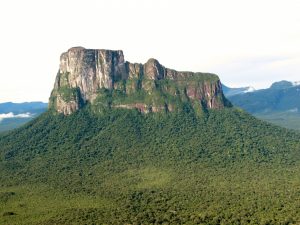 travel packages to angel falls venezuela